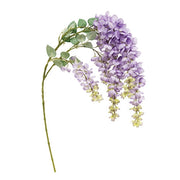 Weeping Purple Plum Branch - 44"