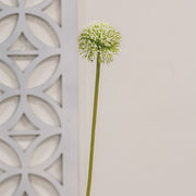 White Allium Ball Spray - 19"