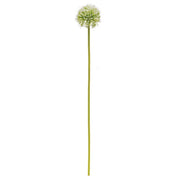White Allium Ball Spray - 19"