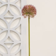 Mauve Allium Ball Spray - 19"