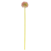 Mauve Allium Ball Spray - 19"