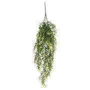 Cream Tipped Baby's Grass Hanging Bush - 34"