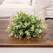 Cream Tipped Baby's Grass Half Sphere - 9" x 6.5"H