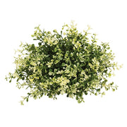 Cream Tipped Baby's Grass Half Sphere - 9" x 6.5"H