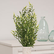 Cream Tipped Smilax Bush - 21"