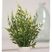 Cream Tipped Smilax Bush - 14"