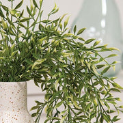 Cream Tipped Smilax Hanging Bush - 33"