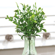 Evergreen English Boxwood Pick - 13"