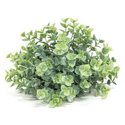 Dusty Mini Eucalyptus Half Sphere - 7.5"x5"