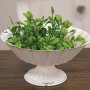 Fresh Sprouted English Boxwood Candle Ring - 1"