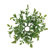 Fresh Sprouted English Boxwood Candle Ring - 1"