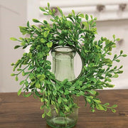 Fresh Sprouted English Boxwood Candle Ring - 3.25"