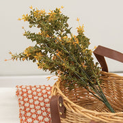 Golden Trumpet Bush - 19"