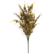 Golden Trumpet Bush - 19"