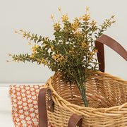 Golden Trumpet Bush - 13"