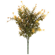 Golden Trumpet Bush - 13"
