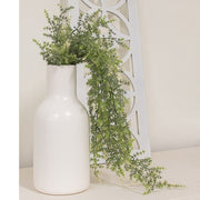 Icy Wild Asparagus Hanging Bush - 31"