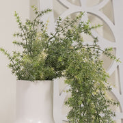 Icy Wild Asparagus Hanging Bush - 31"