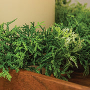 Forest Moss Candle Ring - 4 In