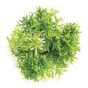 Forest Moss Candle Ring - 1 In