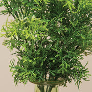 Forest Moss PIck - 10-1/2 In