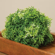 Forest Moss Half Sphere - 5 In