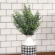 Dusty Rosemary Bush - 11-1/2 In