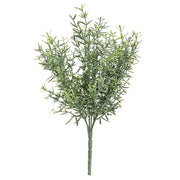 Dusty Rosemary Bush - 11-1/2 In