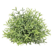 Dusty Rosemary Half Sphere - 5-1/2 In
