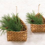 Deluxe Mountain Pine & Cone Spray - 20"