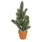 Mini Pine Tree In Terra Cotta Pot - 10"  (3 Count Assortment)