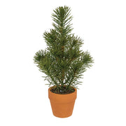 Mini Pine Tree In Terra Cotta Pot - 10"  (3 Count Assortment)