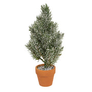 Mini Pine Tree In Terra Cotta Pot - 10"  (3 Count Assortment)