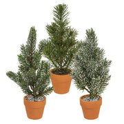 Mini Pine Tree In Terra Cotta Pot - 10"  (3 Count Assortment)