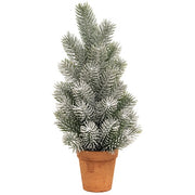 Pine Tree In Terra Cotta Pot - 14"  (3 Count Assortment)
