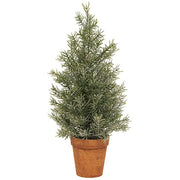 Pine Tree In Terra Cotta Pot - 14"  (3 Count Assortment)