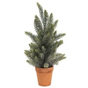 Pine Tree In Terra Cotta Pot - 14"  (3 Count Assortment)