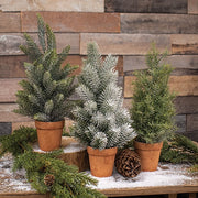 Pine Tree In Terra Cotta Pot - 14"  (3 Count Assortment)