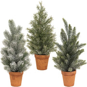 Pine Tree In Terra Cotta Pot - 14"  (3 Count Assortment)