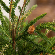 Soft Touch Austrian Pine Tree in Burlap Base - 19"H