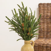 Soft Touch Austrian Pine Bush - 20"