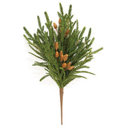 Soft Touch Austrian Pine Bush - 20"