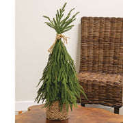 Drooping Soft Touch Austrian Pine Tree in Basket - 25"