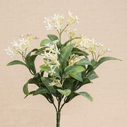 White Jasmine Bush - 10 In