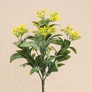 Yellow Jasmine Bush - 10 In