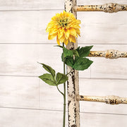 Yellow Dahlia Stem - 24.5"