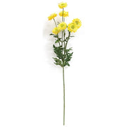 Yellow Strawflower Spray - 25"