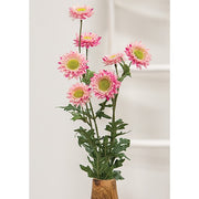 Pink Strawflower Spray - 25"