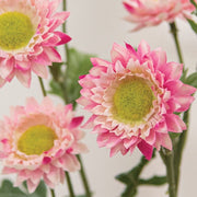 Pink Strawflower Spray - 25"