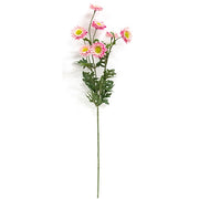 Pink Strawflower Spray - 25"